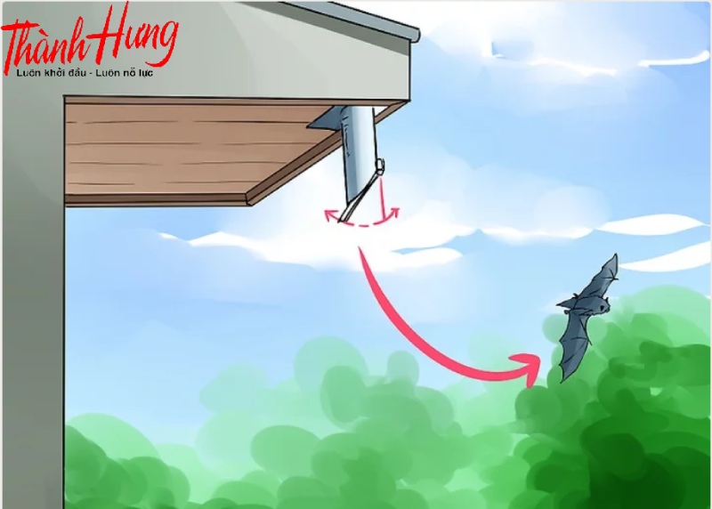 Lắp đặt các thiết bị ngăn chặn một chiều để đuổi dơi ra khỏi nhà.