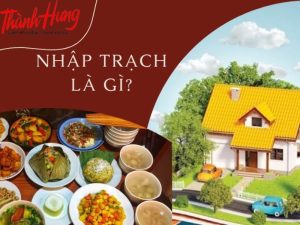 Trong từ điển Hán Việt, thuật ngữ "nhập trạch" được giải thích như sau: "nhập" có nghĩa là vào, "trạch" có nghĩa là nhà.